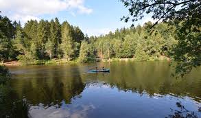 25 feet shoreline:2.18 miles location: Mallards Pike Viewpoint Beauty Spot Gloucestershire Visit Dean Wye