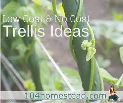 We did not find results for: Low Cost No Cost Garden Trellis Ideas