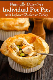 Dairy Free Individual Pot Pies Recipe Chicken Or Turkey Recipe In 2020 Pot Pies Recipes Pot Pie Chicken Pot Pie Recipes