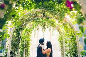 Bisa dari video, kata kata, hingga kumpulan foto lucu. Pre Wedding Photoshoot Background Hd Novocom Top
