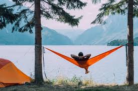 Downloaded and deleted a ton of apps—to. 9 Camping Apps You Should Download Before Your Next Trip