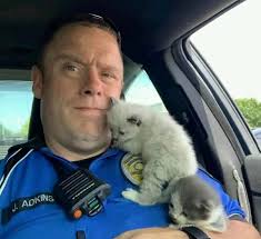 Two police officers in Texas had just finished handling a shoplifting  incident at a TJ Maxx store when they were flagged down for an unexpected  rescue mission. Two tiny kittens were stuck