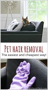 The Best And Easiest Way To Remove Pet Hair Pet Hair Removal Pet Hair Dog Hair