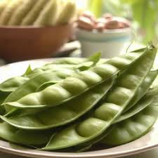 Image result for Canavalia ensiformis