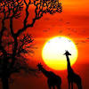 Here you can find animal desktop wallpapers and download best animal desktop backgrounds. Https Encrypted Tbn0 Gstatic Com Images Q Tbn And9gctkeh0dak J1mma5u2ffl3n08 Bbmqdpum Xtp8lodxeqxpuif Usqp Cau