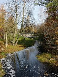 Exploring new landscapes and ecosystems and encountering the wildlife within them is an exciting way for you. Latvia Nature Outside Trees Stream Creek Water Reflections Fall Autumn Pxfuel