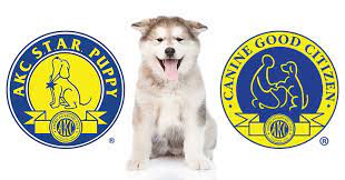 The rare hues seem as unpredictable as the … Test Items Pledge American Kennel Club
