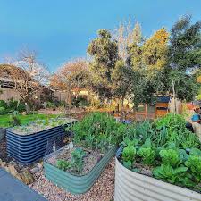 Birdies Raised Garden Beds Birdies Garden Products On Instagram Gardeningwithmichael Perfect Start To Spring Birdiesgardenproduct In 2020 Raised Garden Beds Outdoor Decor Patio
