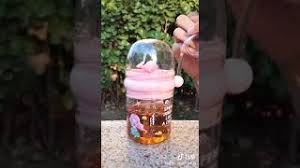 We would like to show you a description here but the site won't allow us. Botol Air Minum Anak Mancur Hiu 250ml Youtube