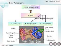 Please copy and paste this embed script to where you want to embed. Sains Tingkatan 2 Semekar Domov Facebook