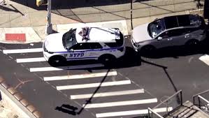 bronx