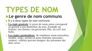 Le Nom Un Nom Designe Une Personne Un Enfant Une Sorciere Un Animal Un Chien Un Objet Concret Une Boite Un Arbre Ou Une Notion Abstraite Liberte Ppt Telecharger