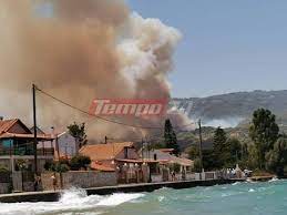 Φωτιά ξέσπασε λίγο μετά τη μία το μεσημέρι στη ζήρια. 7yghiy19old Jm
