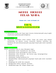 Dari ampula menuju duktus ejakulatorius yang bermuara pada pangkal saluran kencing (uretra). Modul Biologi Kelas Xi Ipa Iisbioangela