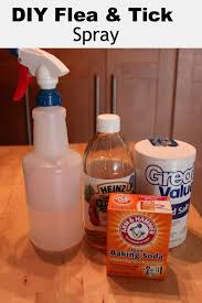 A natural flea killer is safe for use around pets and children. Homemade Flea Tick Spray For Pets Debt Free Spending Flea And Tick Spray Flea Spray For Dogs Flea Remedies