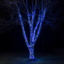 100 led fairy light for outdoor project non flashing and. Blue No Plug Festive Lights 5m Outdoor Led Fairy Lights On Ip44 Connectable Rubber Black Cable Lighting Christmas Lighting Cate Org