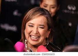 伯莎張「1235」免版稅圖片、庫存照片和影像| Shutterstock