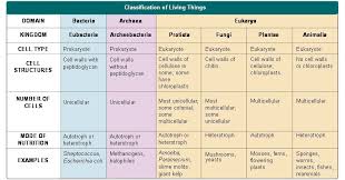 all categories ramsha akhtars biology blog