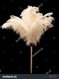 Birds Of The Same Feather Make A Good Feather Duster Feather Duster Dancing Art Google Search Art Google Feather Duster Art