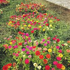 Казанлък 0884723254 089x xxxxxxпокажи0898 868003 ул. Crkva Sveti Prorok Iliya Kazanlk Stara Zagora
