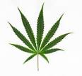 Image result for pole and dagga houses