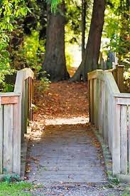 Informed rvers have rated 20 campgrounds near blaine, washington. Birch Bay Rv Campground Camping Resort Rv Campgrounds Outdoors Adventure