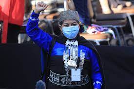 Dressed in the traditional costume of mapuche women and the trapelacucha (mapuche necklace) hanging on her chest, loncón, 58, embraced constituents of other indigenous peoples and then advanced to the stage accompanied by the machi (or mapuche spiritual guide) francisca linconao, also a constituent, who waved cinnamon leaves, the sacred mapuche tree. 6k K6e5tc4qgom