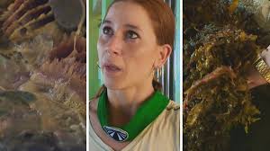 Ázsia Expressz: Mikes Anna kis híján elhányta magát az egyik feladat közben 