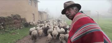 Edgar villarroel), tipi cinturita and more. Video Searching For The Kallawaya Bolivia Travel