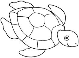 Sea Turtle Sea Turtle Drawing Free Coloring Page Turtle Drawing Turtle Coloring Pages Sea Turtle Drawing