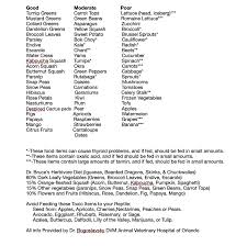 We did not find results for: Reptile Food Chart Reptiles Reptropolis