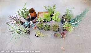 With a gift card, you can brighten up someone's home, office, or garden with a potted plant of their. Portland Plant Purchases And Other Recent Additions