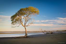 Local photographer ben messina has been capturing both local and national landscapes in the name of beautiful photographs since he was 10. D800e Ben Messina Landscape And Nature Photography