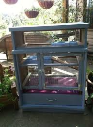 A mother rabbit can provide all the important nutrients a baby rabbit needs to grow. Goodshomedesign