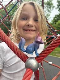 Anyone know where I can get deer meat for chili craving it!