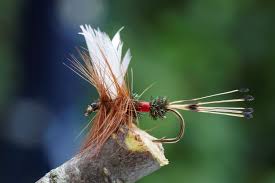 Keep in mind, depending upon which part of the world you're fishing in, these flies may vary. 20 Best Dry Flies To Help You Catch More Fish Into Fly Fishing