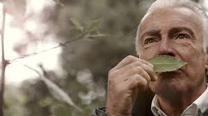 Take time out to experience a mindful meander in nature