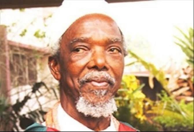Image result for novelist dies in nigeria  Chukwuemeka Ike"
