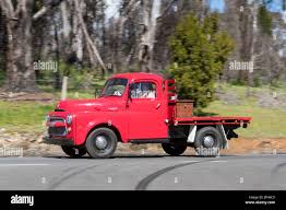 Image result for Dodge Truck Orange 1950 Fleet