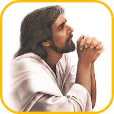 Free catholic prayer apps for android. Powerful Prayers Catholic Apps On Google Play