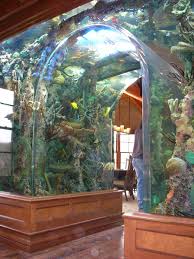 Pin By Randy Blackford On Fish Home Aquarium Amazing Aquariums Aquarium Design