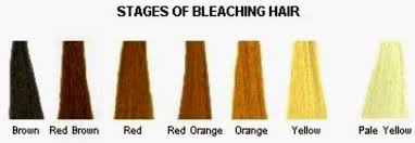 I successfully bleached my hair at home and it work out just awesome because i have her black hair. Diy At Home Natural Hair Lightening Color Removal How To Lighten Hair Bleached Hair Bleaching Dark Hair