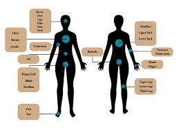 We've done the research for you—so you don't have to waste hours of your life trying to find the best place to go for hair removal services near you. Laser Hair Removal Gilbert Laguna Laser