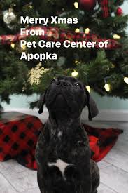 We want your pet to be happy and healthy, that's why we're here. Pet Care Center Of Apopka Posts Facebook