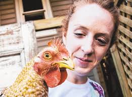 GOP push for B'klyn Chick-fil-A