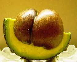 Image result for Dark Avocado 1983 Fedders