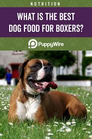 What is the best dog food for a boxer? This Article Covers The Top 6 Picks For The Best Dog Food For Boxers It Covers Food Picks For Boxer Puppies Senior Best Dog Food Boxer Puppies Boxer Dog Care