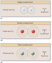 2 7 Single Double And Triple Covalent Bonds Covalent Bonding Study Chemistry Teaching Chemistry