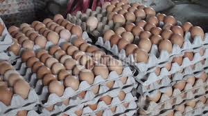Pasalnya ayam jenis ini lebih difokuskan untuk memproduksi telur dalam jumlah banyak. Harga Telur Ayam Di Pasar Canggu Capai Rp 40 Ribu Per Krat Tribun Bali