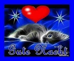 Gute Nacht Gif Fur Whatsapp Blessed Night Good Night Wishes Night Wishes